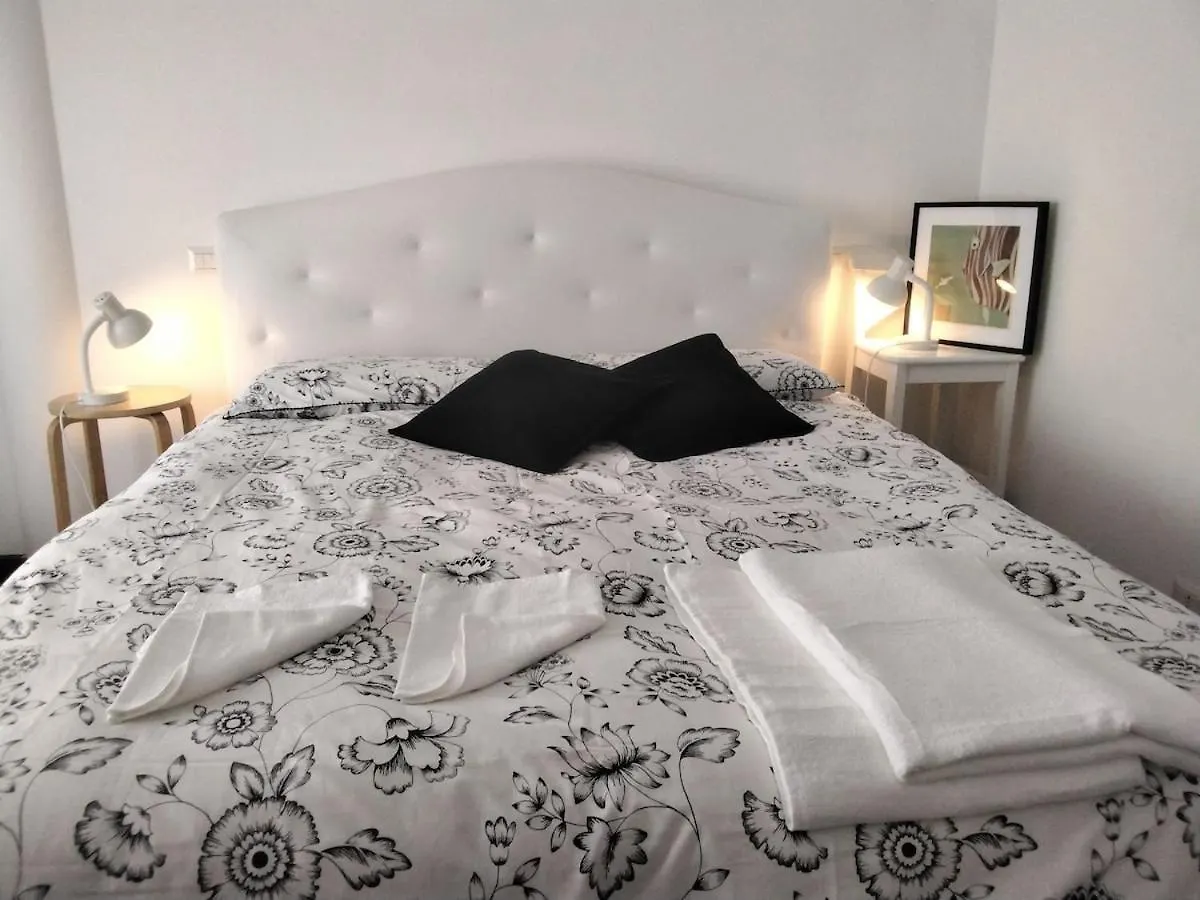 Sunny And Bright Apt Near St Peter Square Rome Apartment